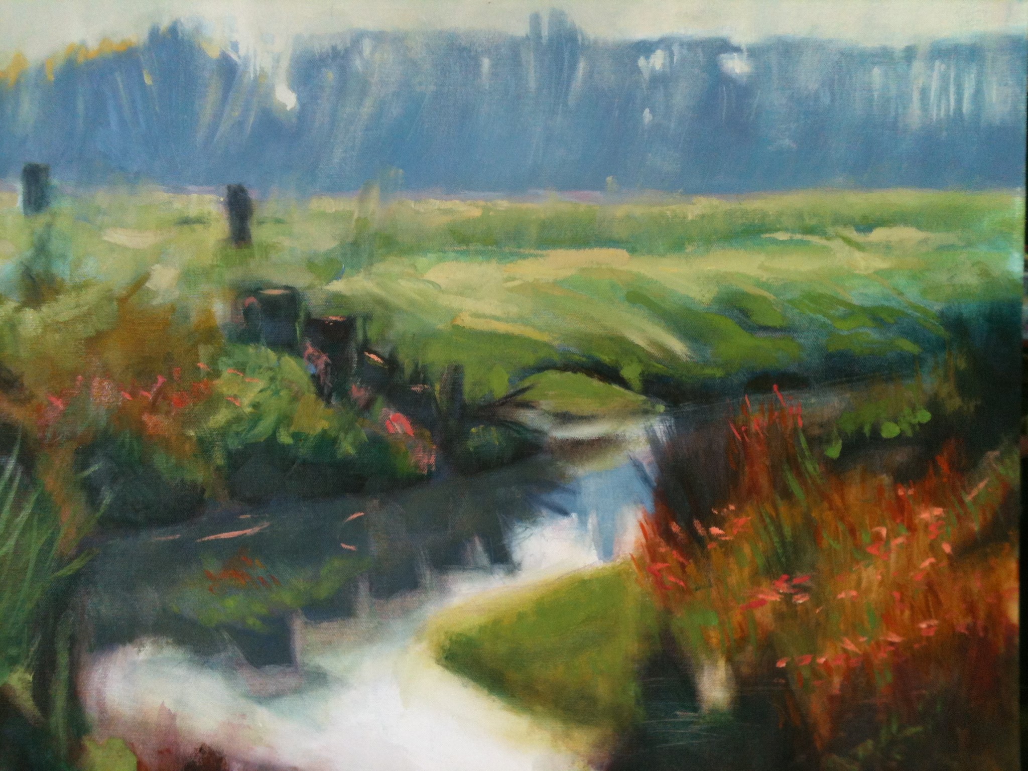 Ditch and Pollard Willows