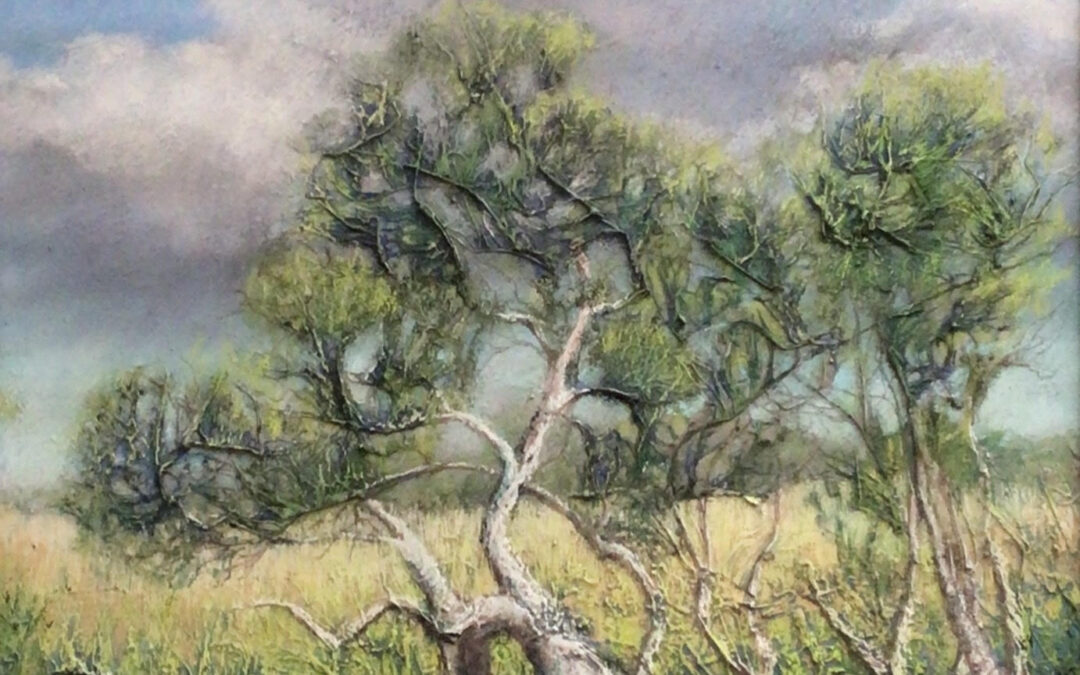 Resilient Growth