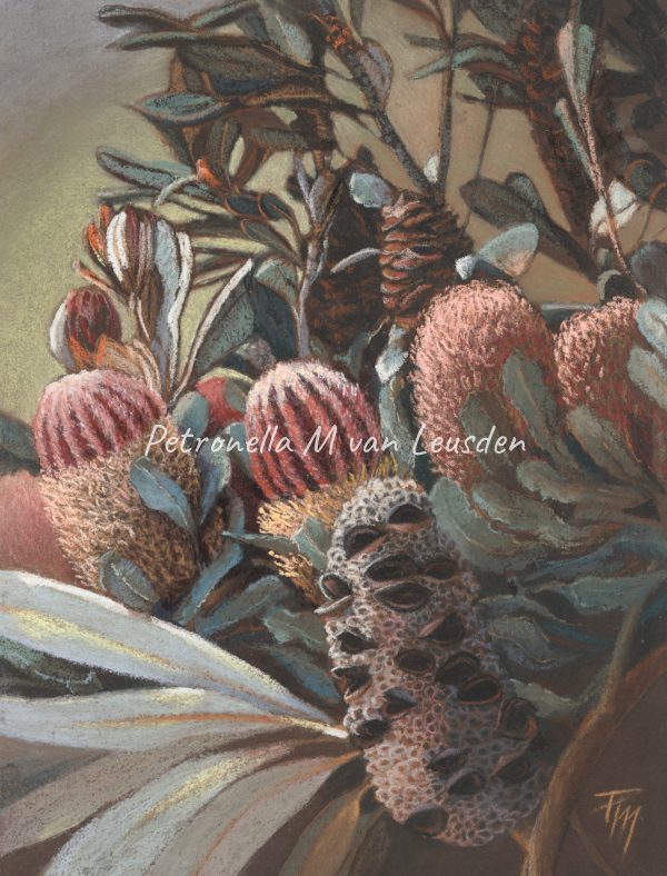 Banksia Galore Pastel painting of salmon coloured banksia flowers surrounded by leaves and branches